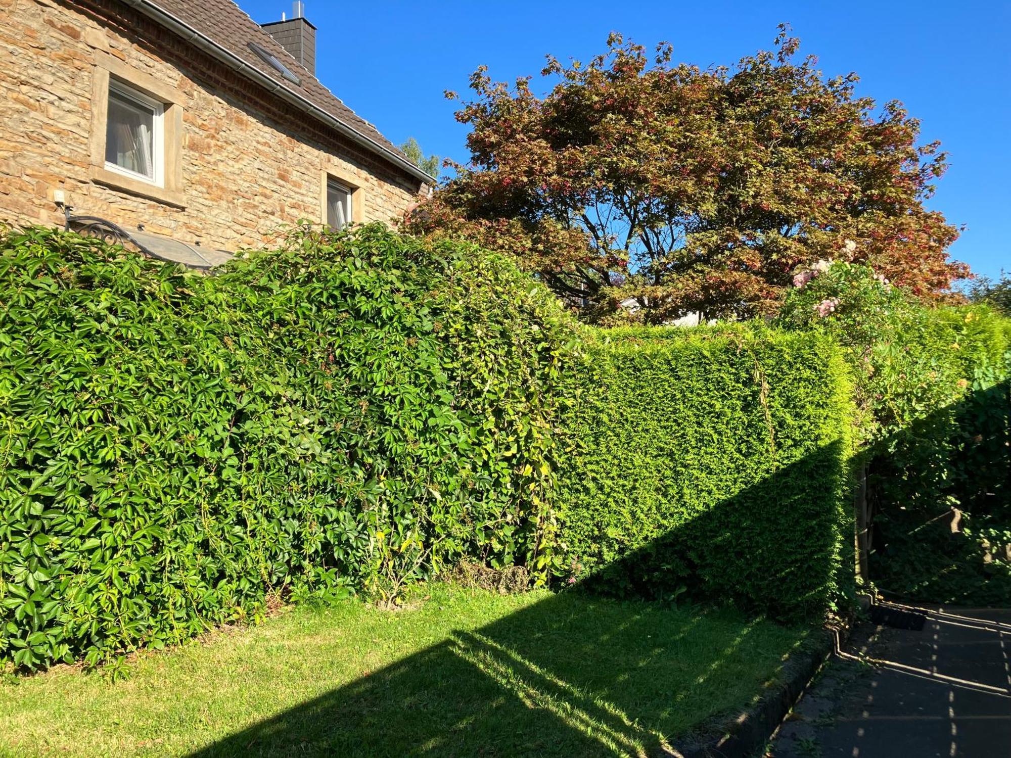 Ferienwohnung Im Gruenen Eg Mit Terrasse Herdecke Εξωτερικό φωτογραφία